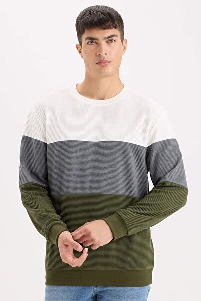 DeFacto Reguläre Passform Rundhals Farbblock Jacquard Sweatshirt D5393AX24AU