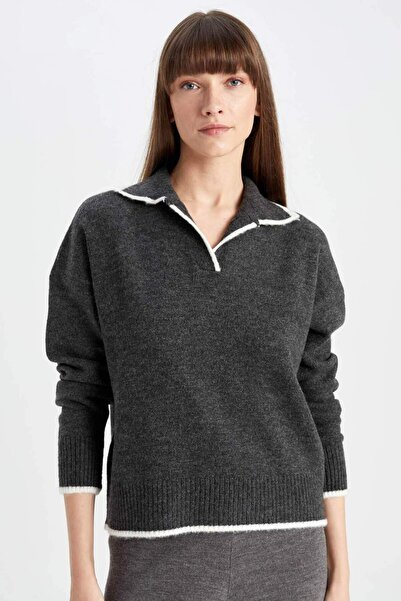 DeFacto Regular Fit Soft-Textured Polo Neck Knitwear Sweater A3868Ax24Wn