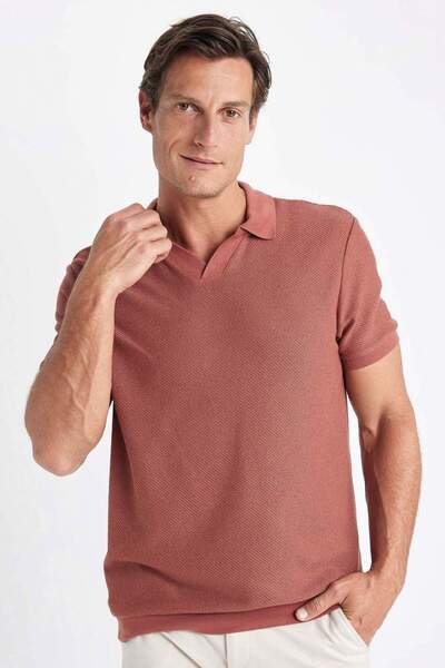 DeFacto Regular Fit Short Sleeve Knit Look Polo T-Shirt (24 Sm)