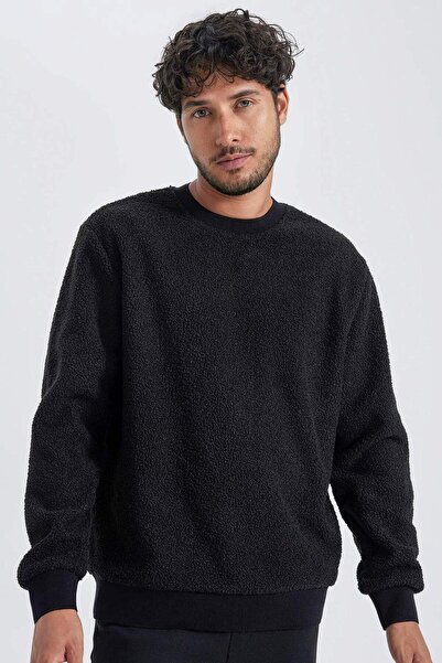 DeFacto Regular Fit Crew Neck Basic Plain Plush Sweatshirt A6818Ax23Wn