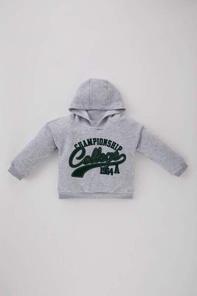DeFacto Baby Boy Hooded Printed Soft Fleece Sweatshirt B5312A523Wn