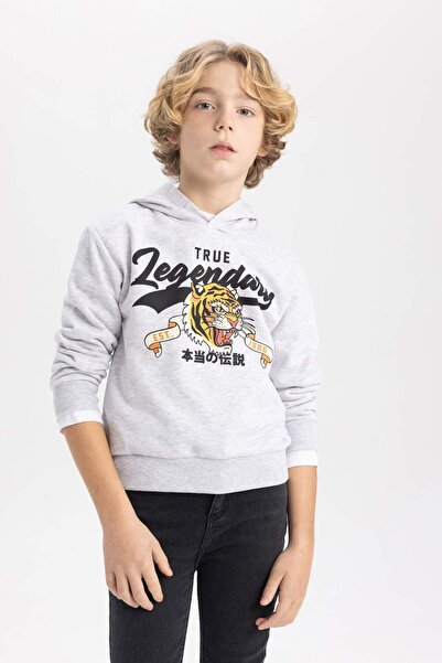 DeFacto Boy's Hooded Printed Sweatshirt B7100A824Sp