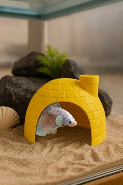 Akvaryum Japon Balık Yuvası ✱ Beta Balıgı Yuvası ✱ Tetra, Çöpçü, Lepistes Uyu...