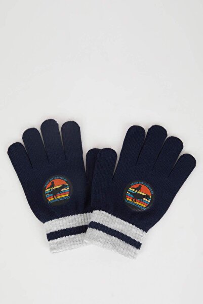 DeFacto Boy's Dinosaur Printed and Color Block Knitwear Gloves S0406A621Wn