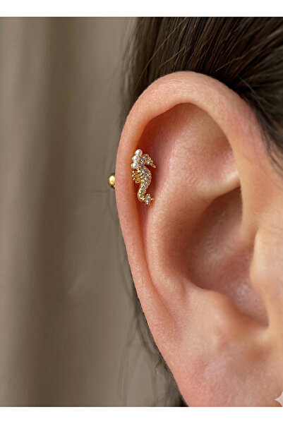 kurukafagift Denizatı Figürlü Çelik Piercing Helix Tragus Lob Kıkırdak 8 mm