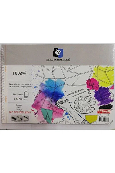 Alex Schoeller دفتر رسم حلزوني 40 قطعة. 25x35-120 جرام