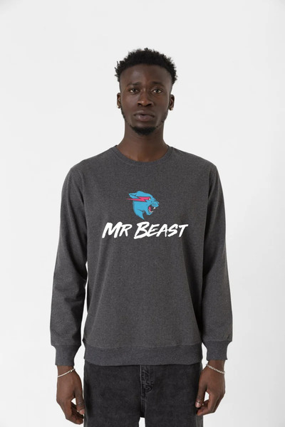 Tshirthane Mr Beast dimljena muška 2ip majica