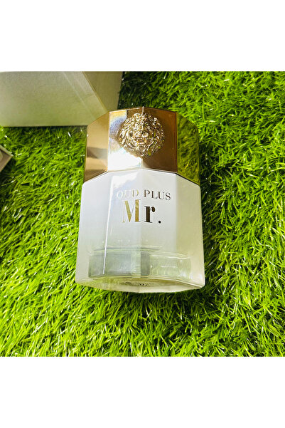 Sellion عطر عود بلس مستر اودي بارفيوم 100مل
