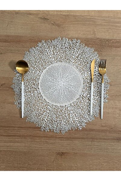 DsHome Dekoratif Leke Tutmaz 6’lı Supla Amerikan Servis Sunum Seti 38cm