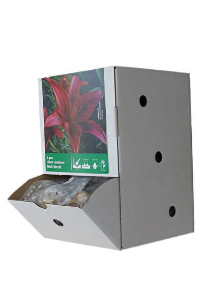 OEM Σκοτεινό Μυστικό χαλαροί βολβοί κρίνου