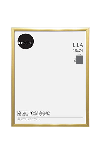 Inspire Rama foto Lila, 18 x 24 cm, plastic, auriu