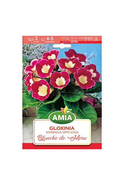 OEM Βολβοί Γλοξίνιας, Blanche de meru, κίτρινοι, κόκκινοι, 2 τεμάχια