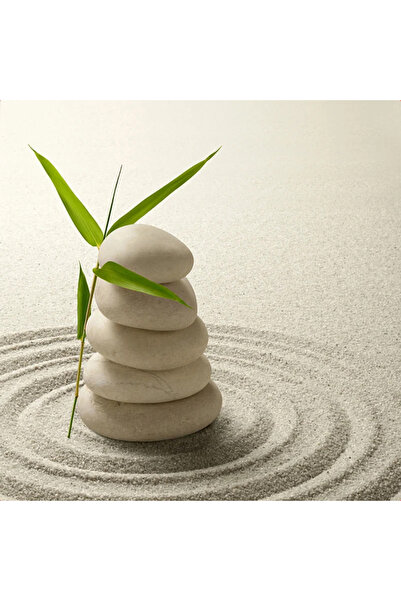 OEM Дзен II картина върху платно, 20 x 20 см