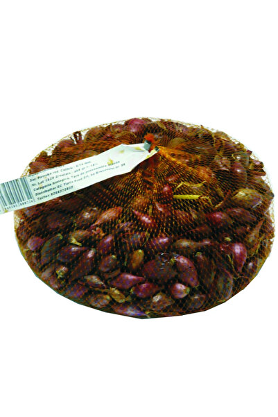 OEM Разсад за засаждане, червен лук сорт Пироска, 8 - 21 мм, 0.45 кг