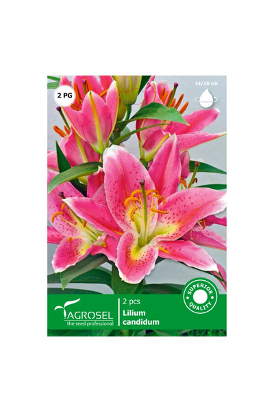 OEM Bulbi crin Agrosel, roz/mov (2 buc)