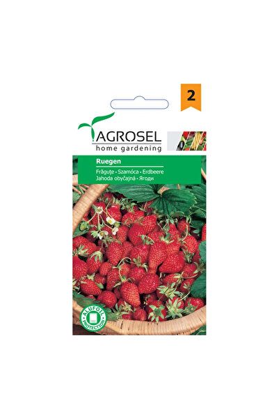 OEM Σπόροι φράουλας Ruegen, Agrosel