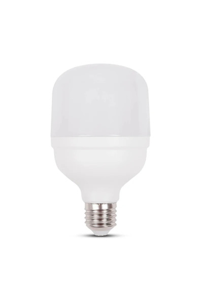 OEM Bec LED, E27, 30 W, lumina rece, 6400K, 2700lm