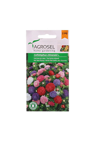 OEM Seminte flori de primavara, ochiul boului pitic, amestec culori, Agrosel,...