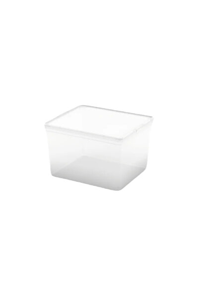 OEM Cutie depozitare C-Box, din plastic, 40 x 34 x 25 cm, 27 L, transparent, ...
