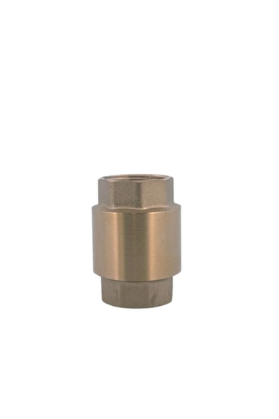 OEM Check valve, brass, internal thread - internal thread, connection 1'
