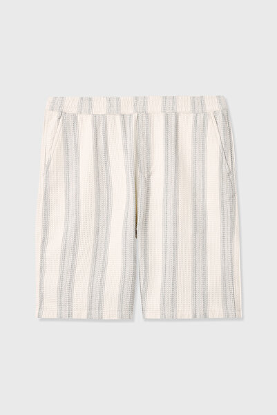 Mudo Straight Fit Striped Shorts with Elastic Waist