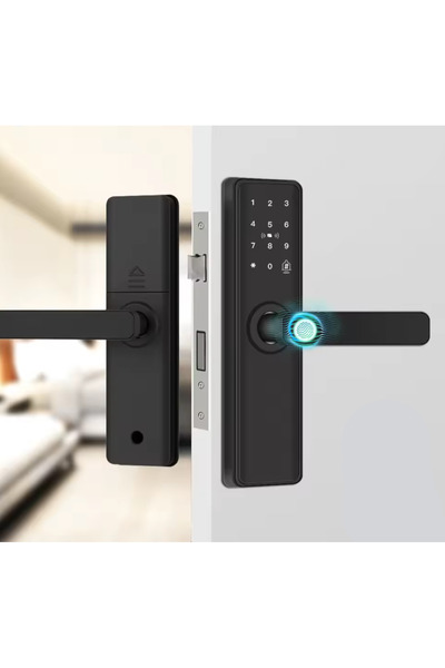 Other Smart lock