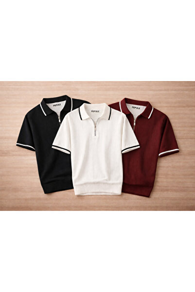 oneoff Set of 3 Men's Knitted Polo Collar Zippered T-Shirts Regular Fit Summe...
