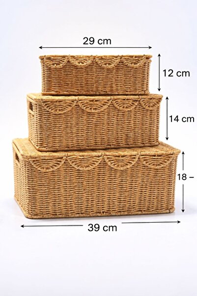 Atölye Artı 1 Set Rattan Sepet / Sepet / Rattan Sepet / Çok Amaçlı Sepet
