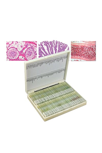 TeTea Kit educational Tetea, set avansat 100 lame microscopice preparate