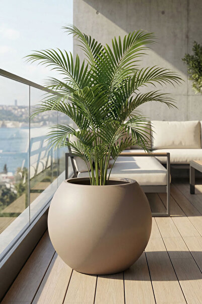 DEQQU Aura Sphere Fiber Küre Saksı - Çap 50cm x Yükseklik 40cm Orta Boy