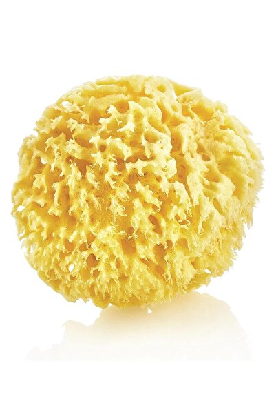 Babyjem إسفنجة بحرية طبيعية - قياسية