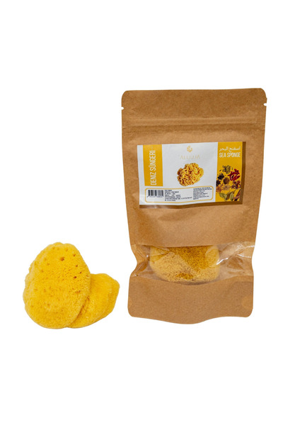 Zeynep Büyükbay اسفنجة بحرية