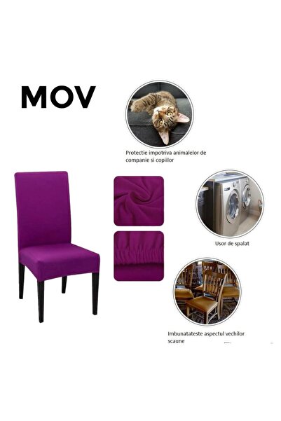 SWORD HUSA PENTRU SCAUN- 6 BUCATI