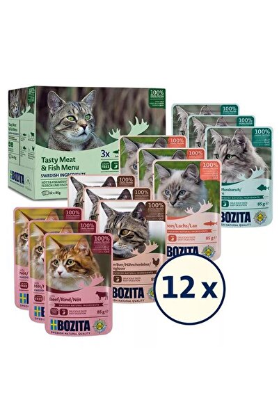 Bozita Jöle İçinde Balık ve Etli Kedi Konservesi Multibox 12x85 gr