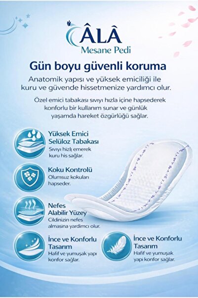 EVA ÂLÂ Mesane Pedi SMALL 24'LÜ