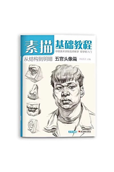 Choice D Sketching Book Basic Sketching Tutorial Drawing Book Geometry Plaste...