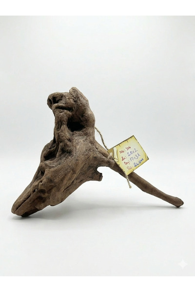 WODDY Mangrove Akvaryum Kökü