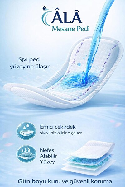 EVA ÂLÂ Mesane Pedi SMALL 24'LÜ