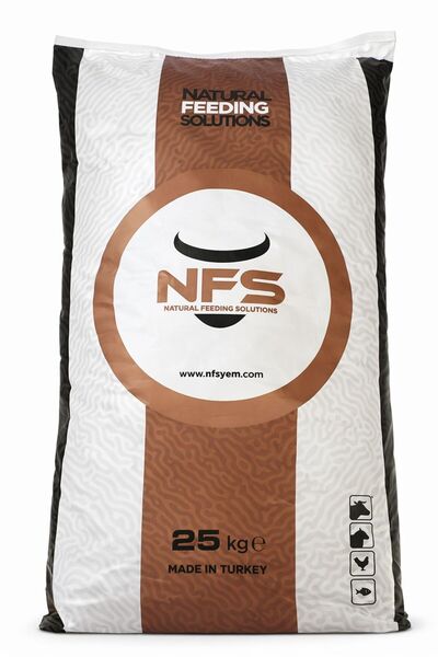 PREMIX Süt ve Besi Hayvanları İçin 25 KG