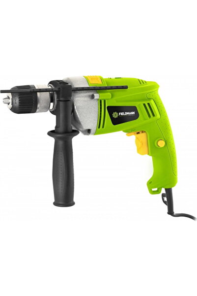 Fieldmann 200751-E 750 W, 230 V, Green