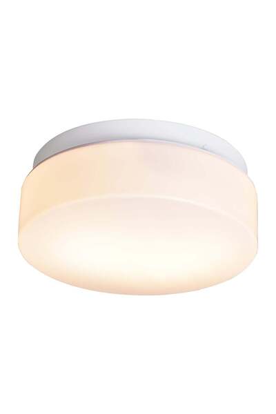 OEM Ceiling light 2XE27 12W D20cm IP44 white