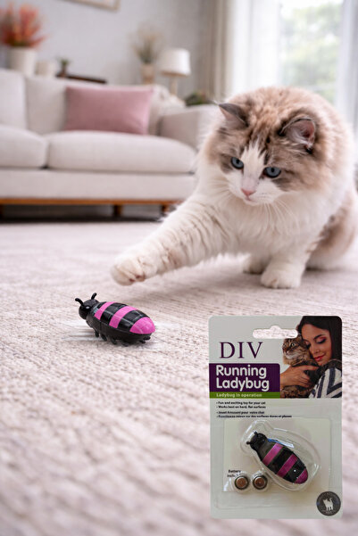 div Pilli Hareket Eden Böcek Kedi Oyuncağı