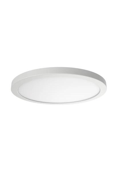 OEM Nebula LED ceiling light, 18 W, D 23 cm, RGB, CCT, Tuya app, white