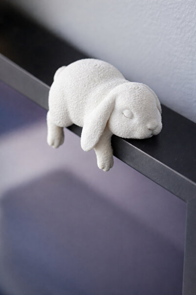 Cute Monitor Rabbit- Decorative Monitor Mounted Figure - 3D Printing Ornament