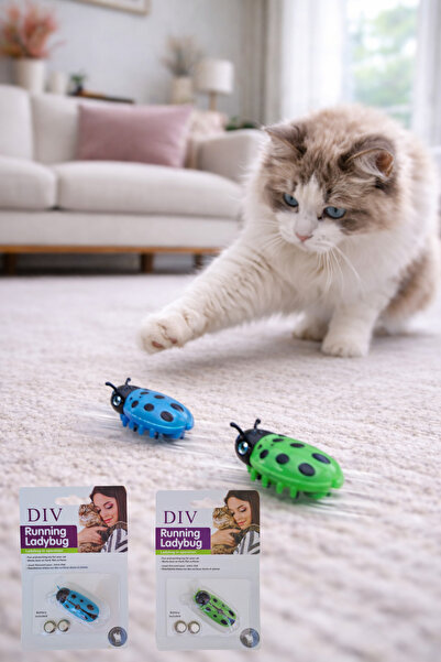 div 2 Li Set Böcek Şeklinde Hareketli Kedi Oyuncağı