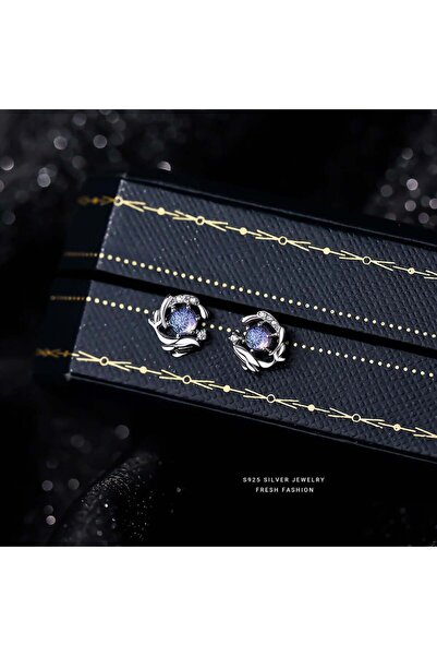 Generic Dolphin earrings