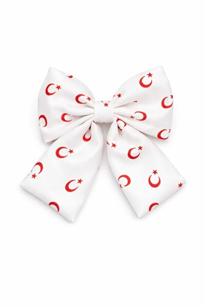 diclecollection مشبك شعر على شكل نجمة القمر الأبيض من 23 أبريل