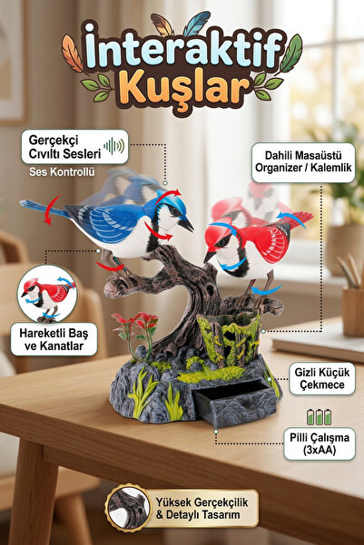 craftivio Sesli ve Hareketli İnteraktif Kuşlar Oyuncak - Kalemlikli Masaüstü ...
