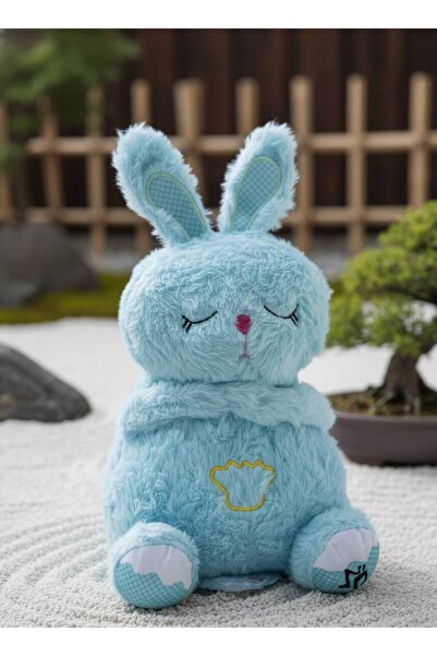 farddad لعبة أرنب قابلة للتنفس وبري مع موسيقى وإضاءة، رفيق نوم للأطفال بلونين...