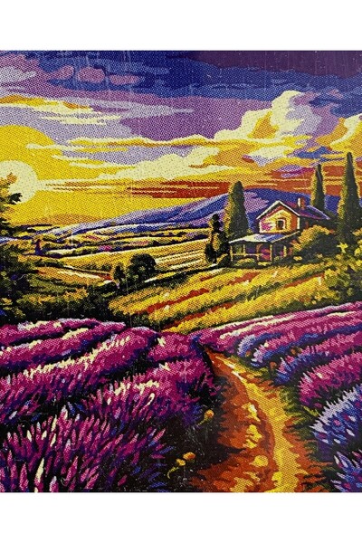 EleganTShoP 5D Yapışan Boncuk Mozaik Tablo 40*50 cm XQC87357